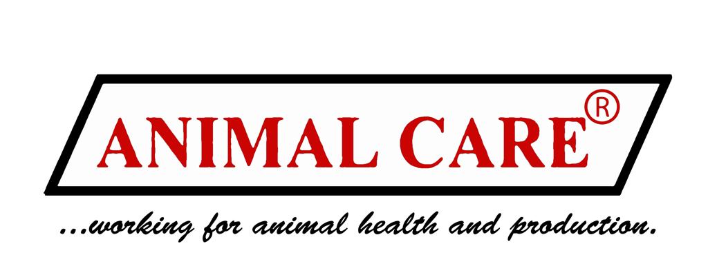 Sponsor Logo 3