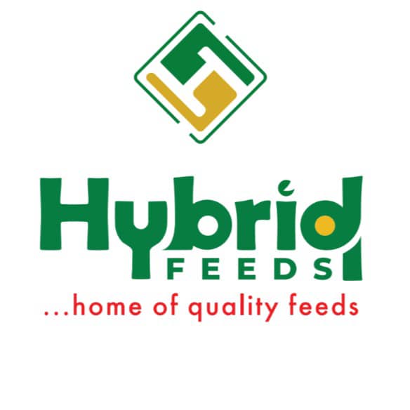 Sponsor Logo 5